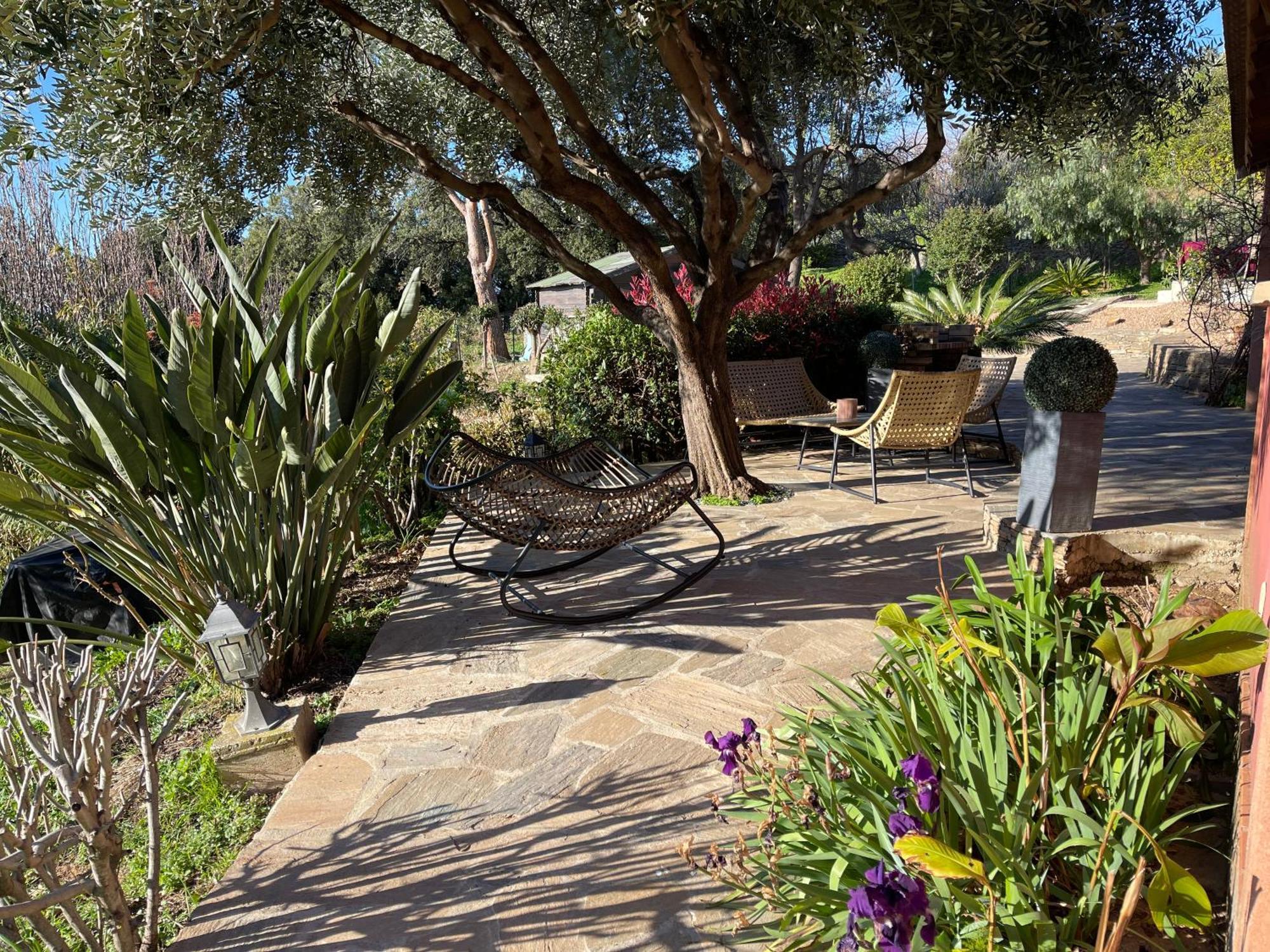 Carpediem_Corsica Poggio-d'Oletta Экстерьер фото