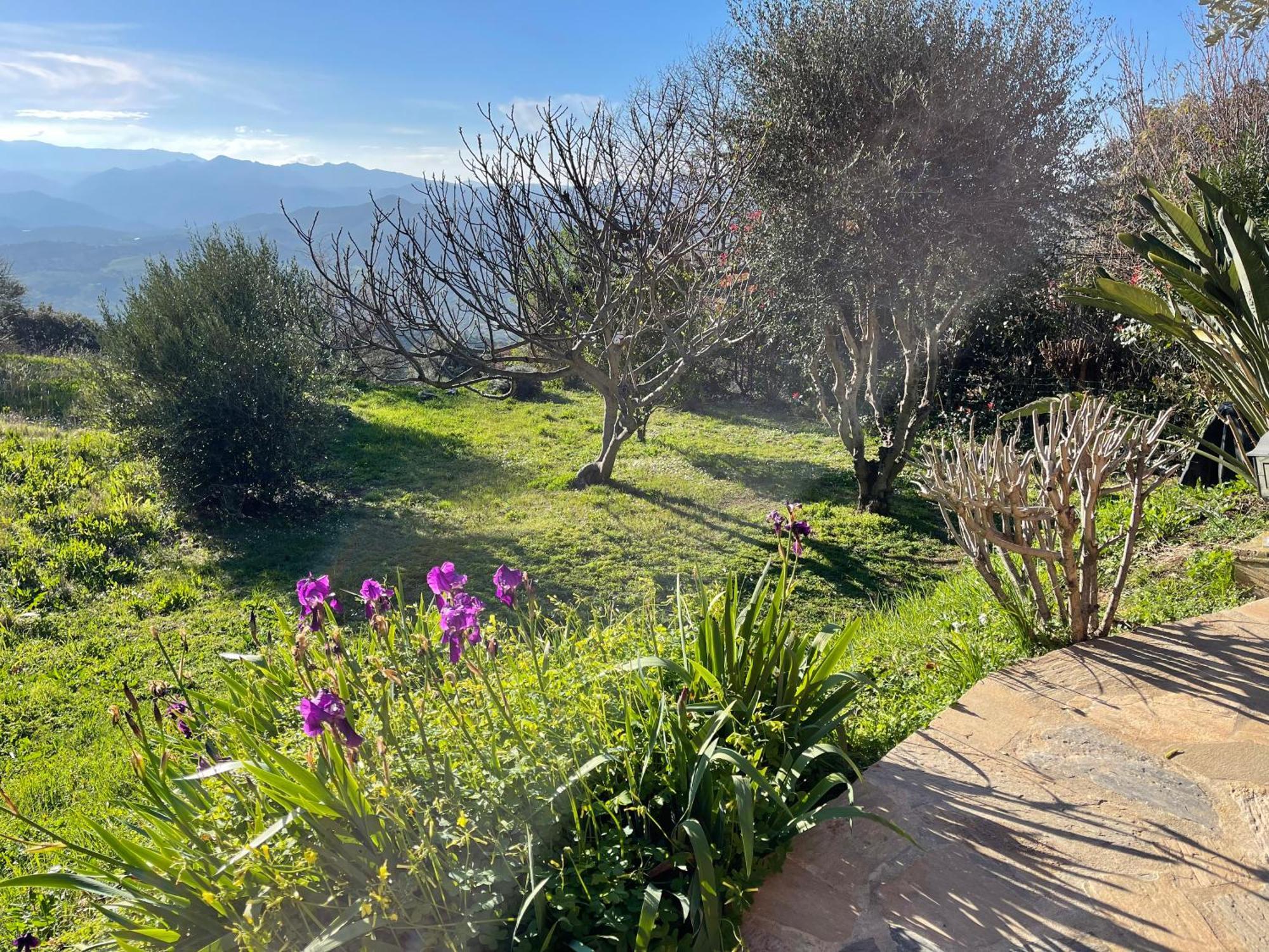 Carpediem_Corsica Poggio-d'Oletta Экстерьер фото